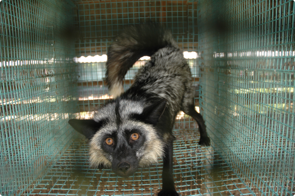 Screenshot 2024-03-25 at 09.18 1